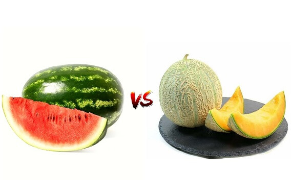 watermelon vs muskmelon