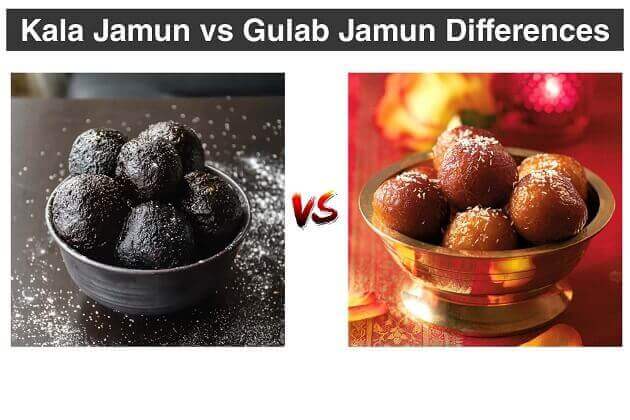 kala jamun vs gulab jamun