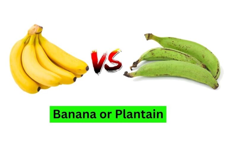 banana vs plantain